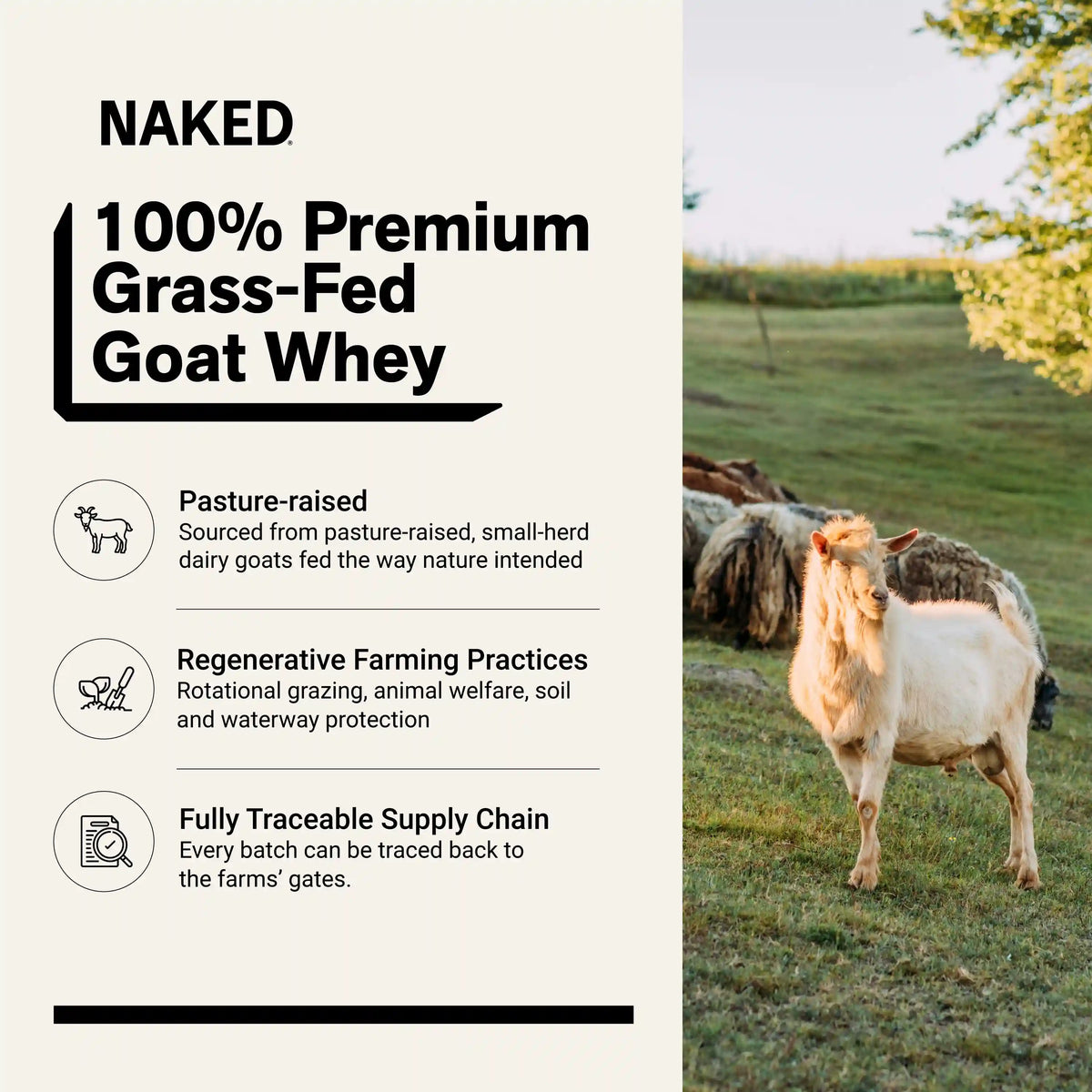 Goat Whey Protein Powder | Naked Goat - 2lb