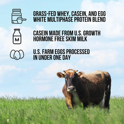 Protein Powder Blend - 1LB Egg, Whey & Casein Protein Blend | Naked Protein - 1lb
