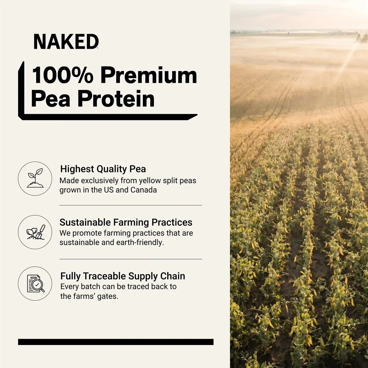 Vanilla Pea Protein Powder | Naked Vanilla Pea - 5LB