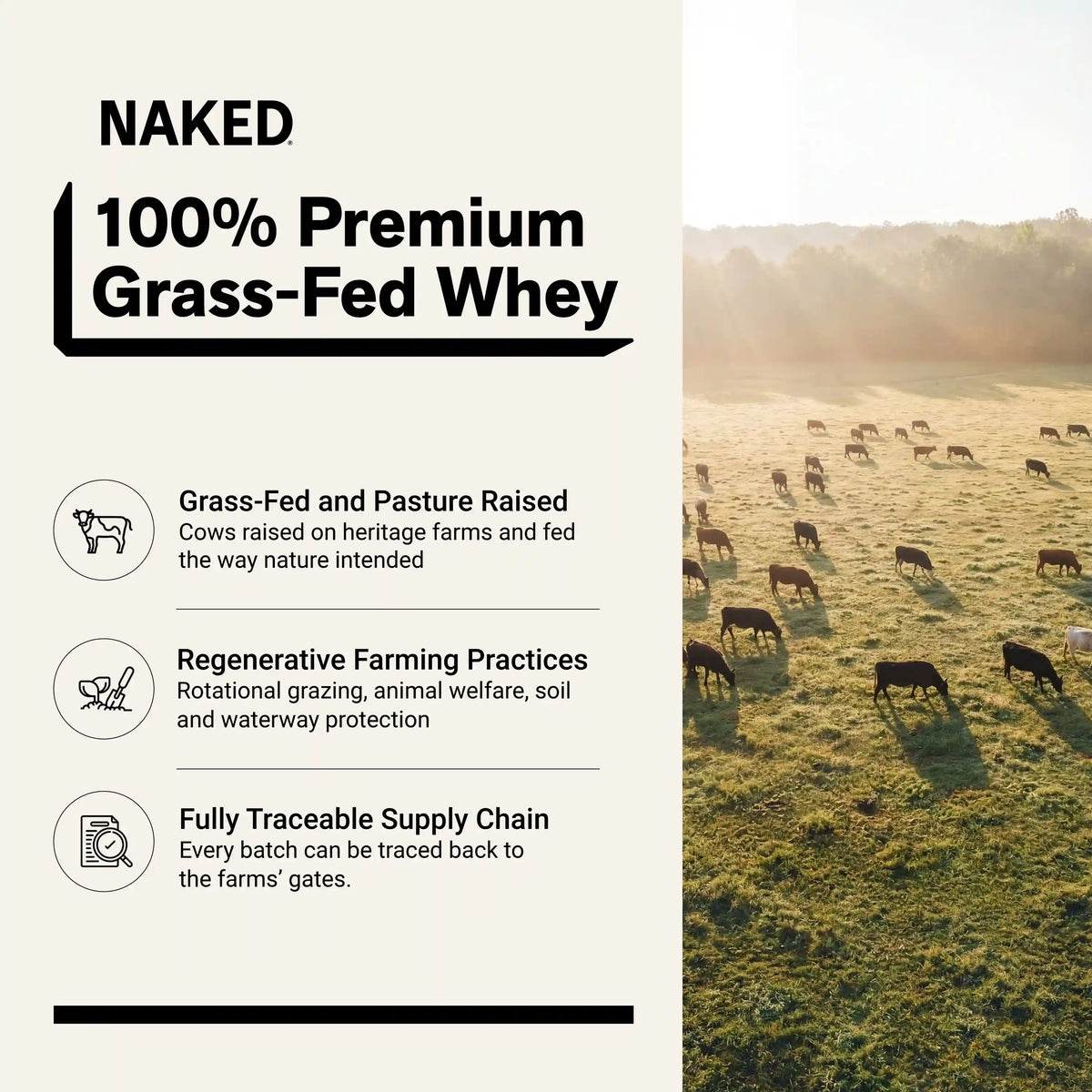 Grass Fed Whey Protein Powder | Naked Whey - 2LB