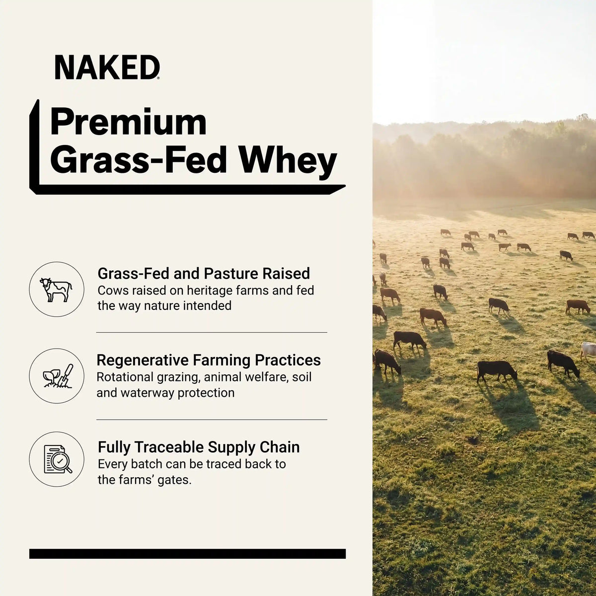 Vanilla Whey Protein Powder | Naked Vanilla Whey - 2LB